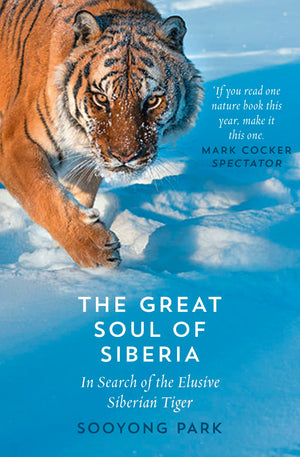 Great Soul of Siberia,Used