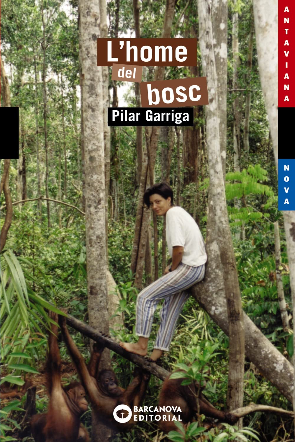 L'Home Del Bosc (Llibres Infantils I Juvenilsantavianaantaviana Blava) (Catalan Edition),Used