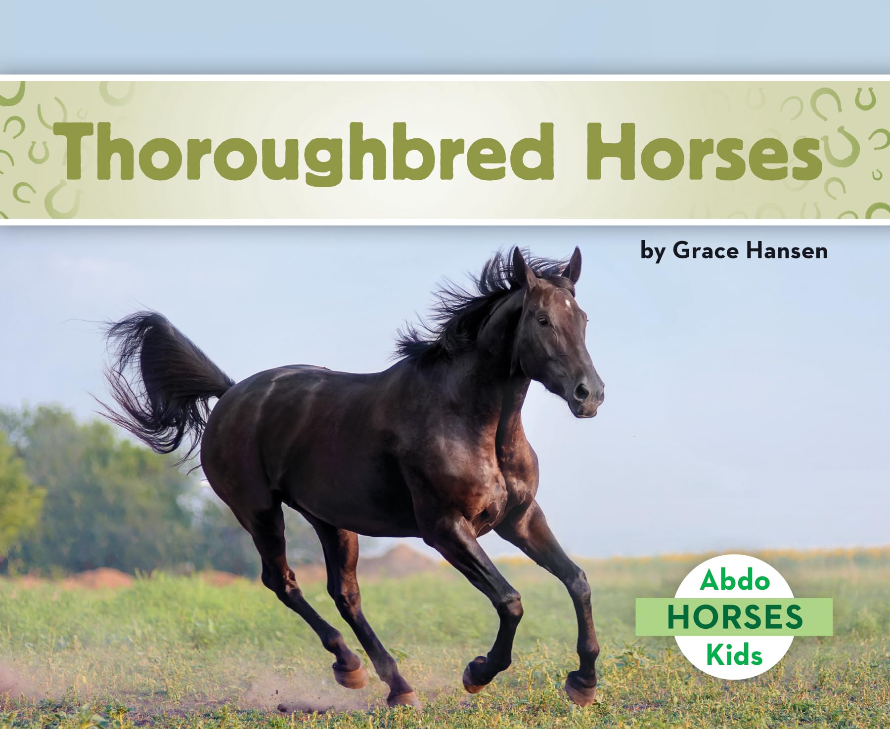 Thoroughbred Horses,Used