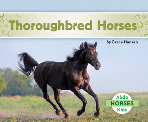 Thoroughbred Horses,Used