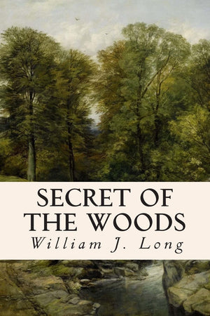Secret of the Woods,Used