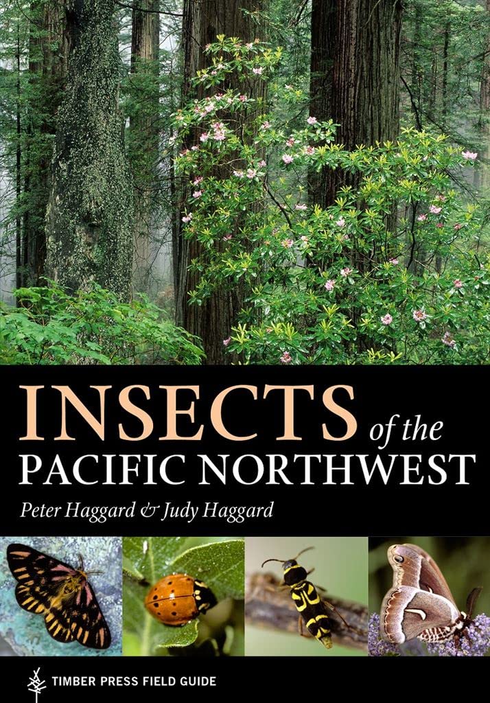 Insects of the Pacific Northwest (A Timber Press Field Guide),Used