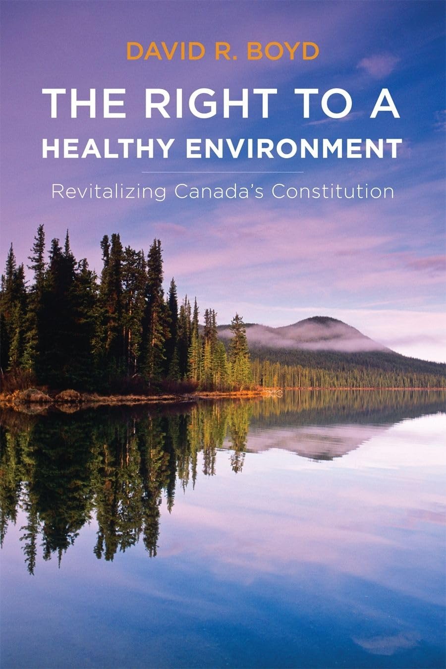 The Right To A Healthy Environment: Revitalizing Canada'S Constitution (Law And Society),New