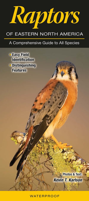 Raptors Of Eastern North America: A Comprehensive Guide To All Species,Used