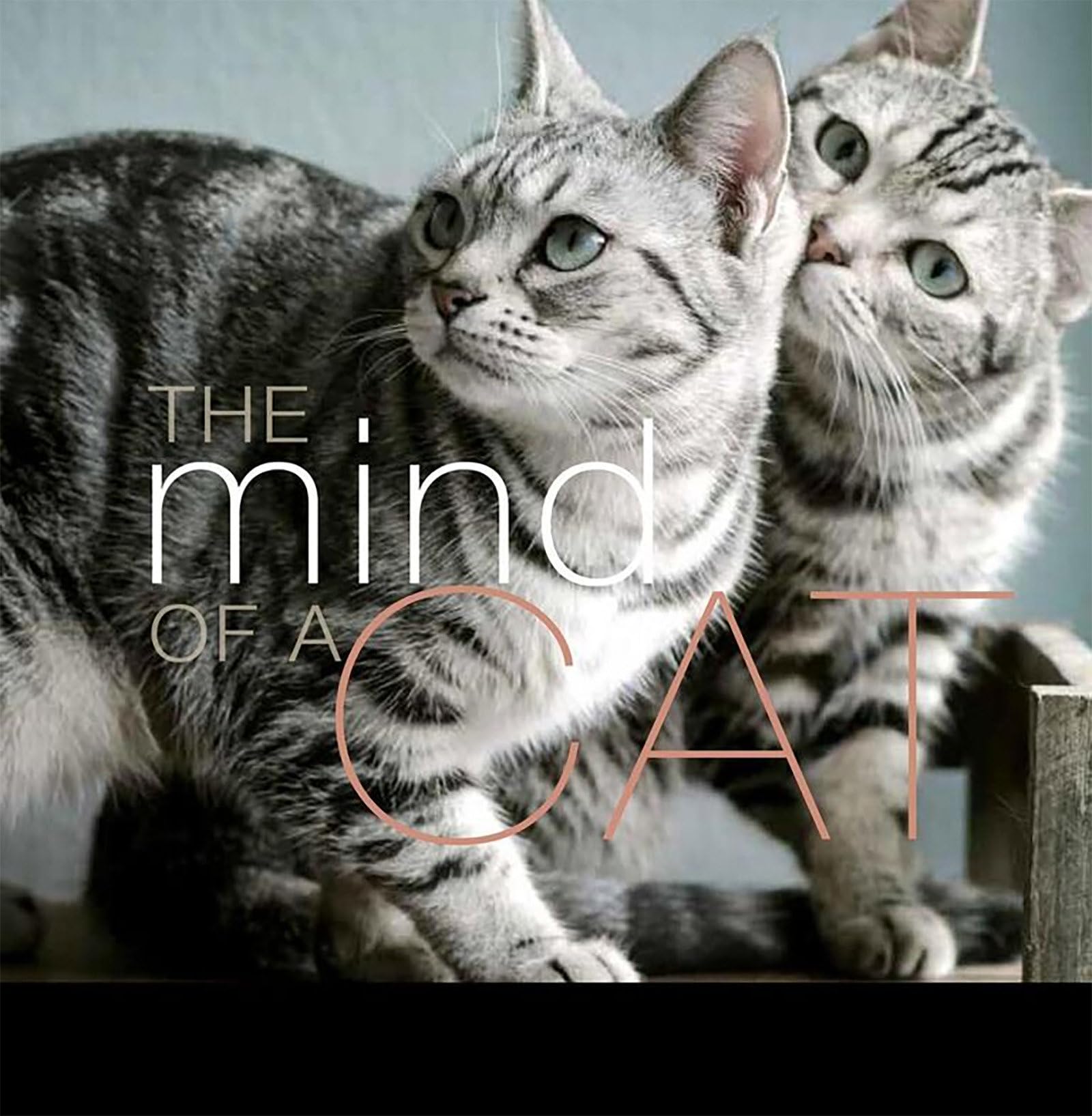 The Mind of a Cat,Used