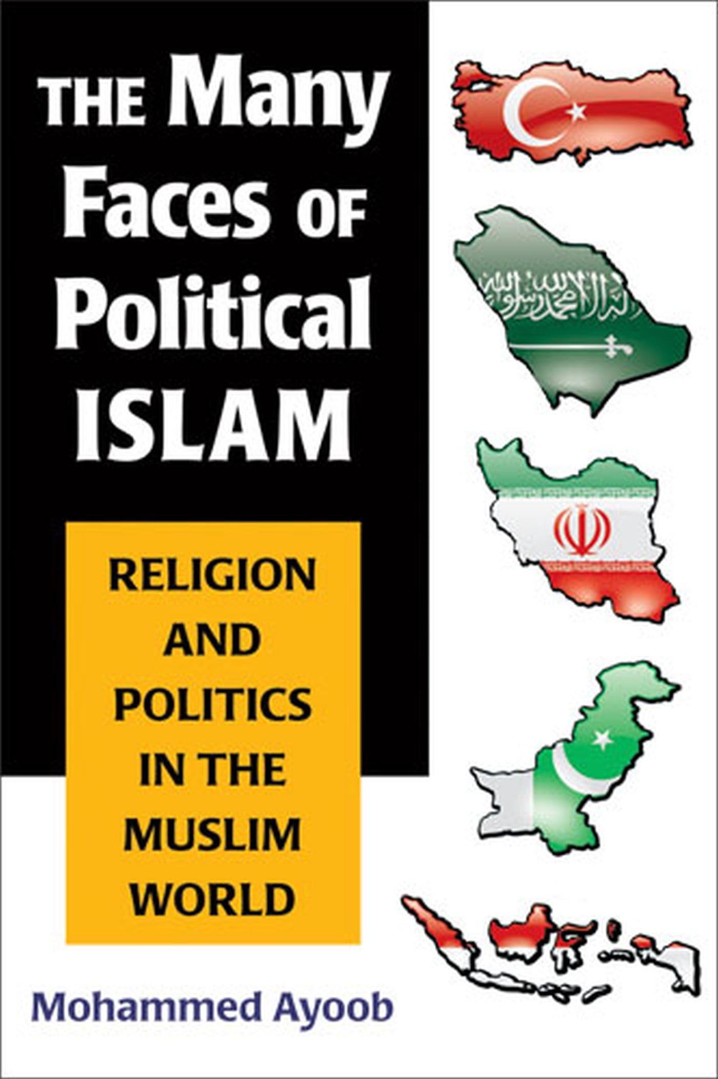 The Many Faces of Political Islam: Religion and Politics in the Muslim World,Used