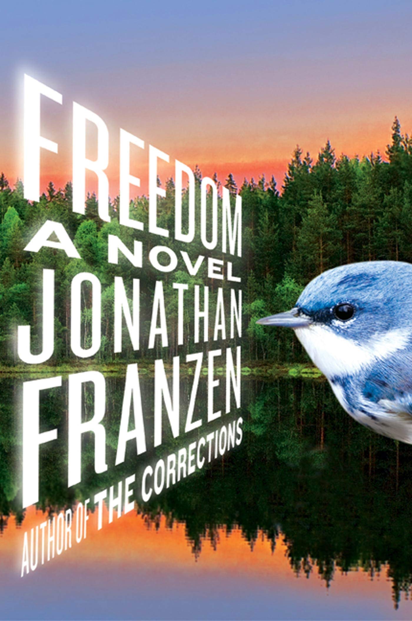 Freedom: A Novel,Used