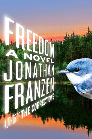 Freedom: A Novel,Used