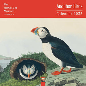 Fitzwilliam Museum: Audubon Birds Wall Calendar 2025 (Art Calendar),New