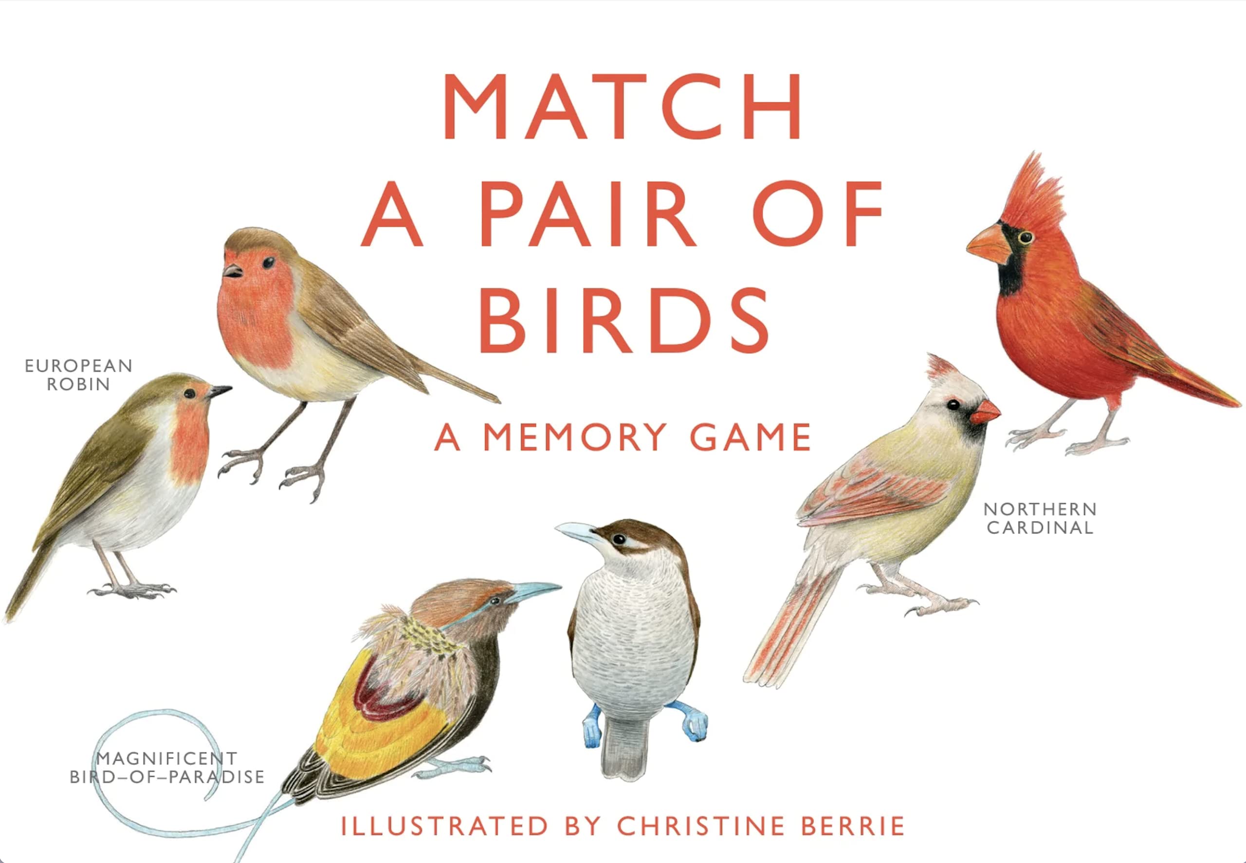 Laurence King Publishing Match a Pair of Birds: A Memory Game,Used