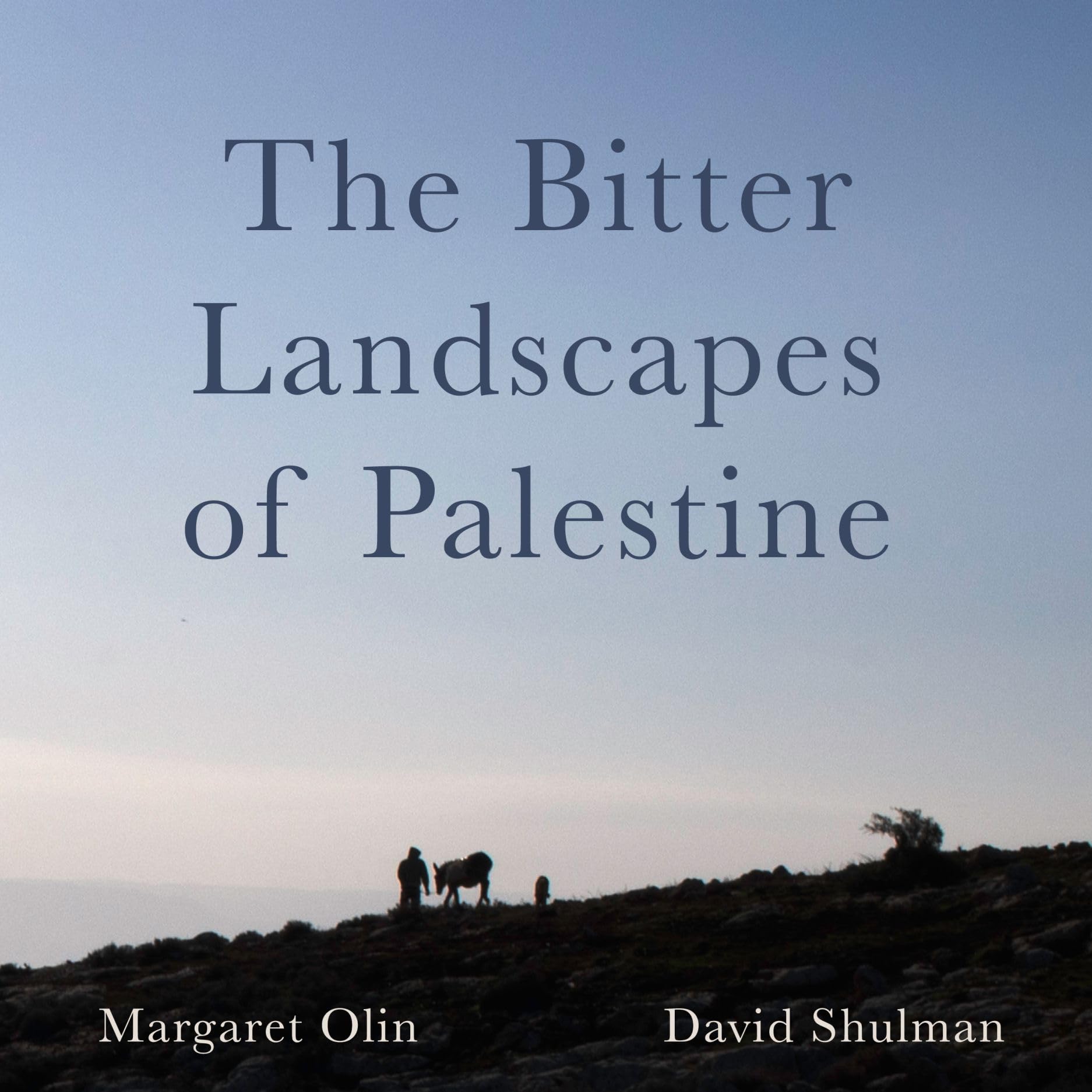 The Bitter Landscapes of Palestine (Critical Photography),New