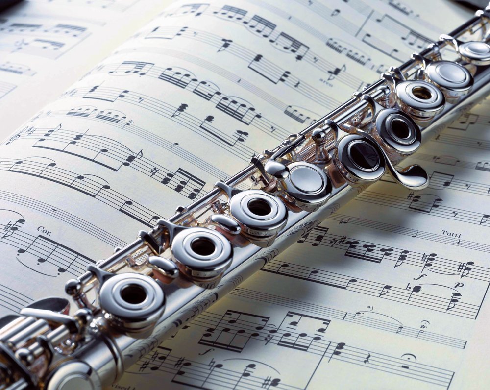 Medalist Band Method, Part 1: Go for the Bronze! (Flute) (Medalist Band Course, Part 1),Used
