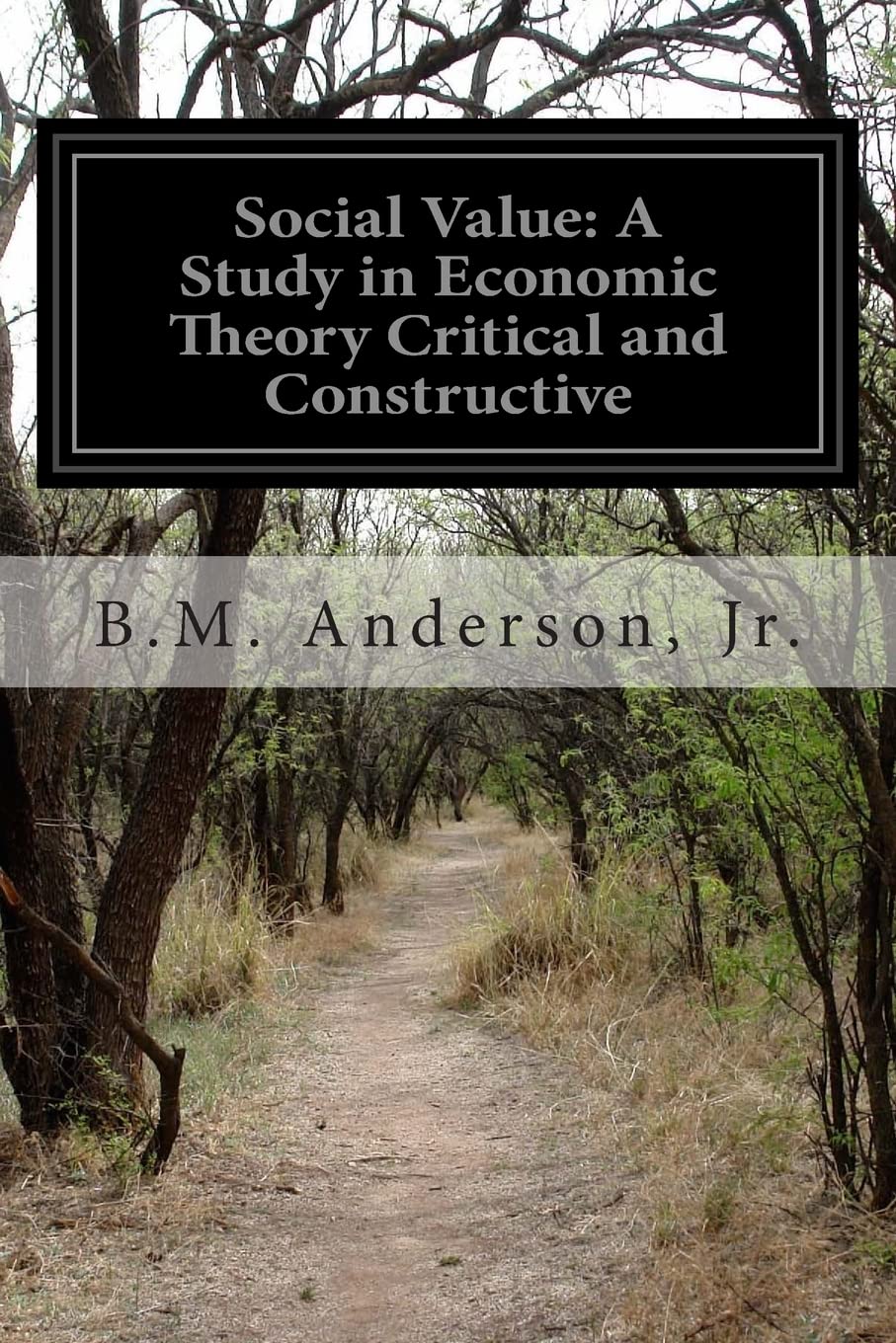 Social Value: A Study in Economic Theory Critical and Constructive,Used