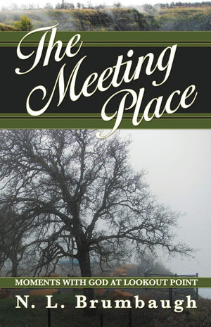 The Meeting Place: Moments With God At Lookout Point,Used