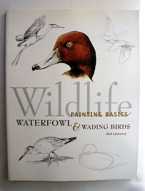 Wildlife Painting Basics Waterfowl & Wading Birds,Used