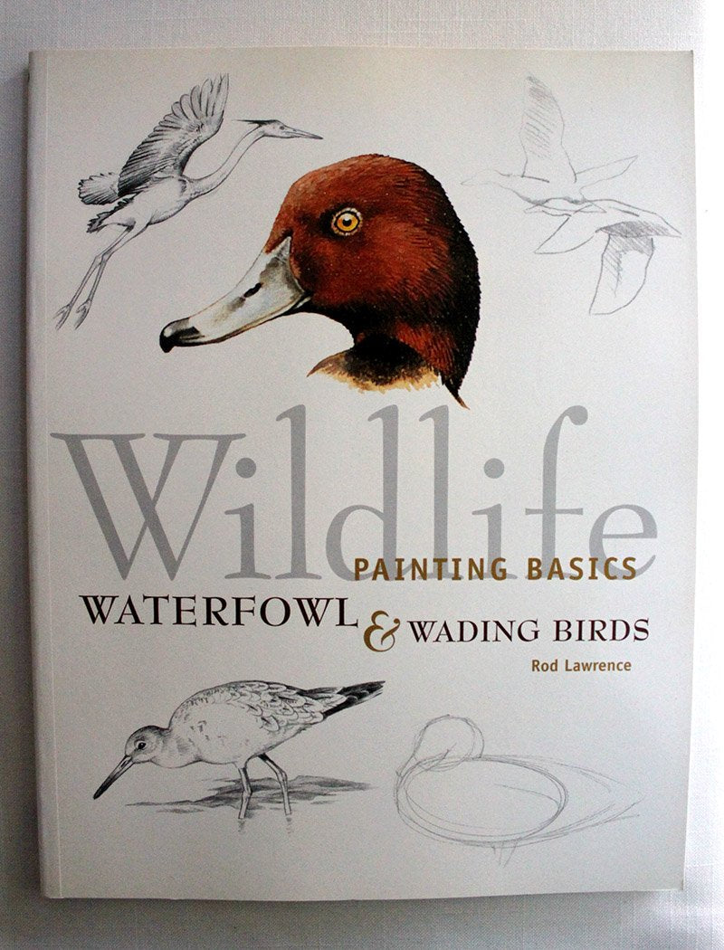 Wildlife Painting Basics Waterfowl & Wading Birds,Used