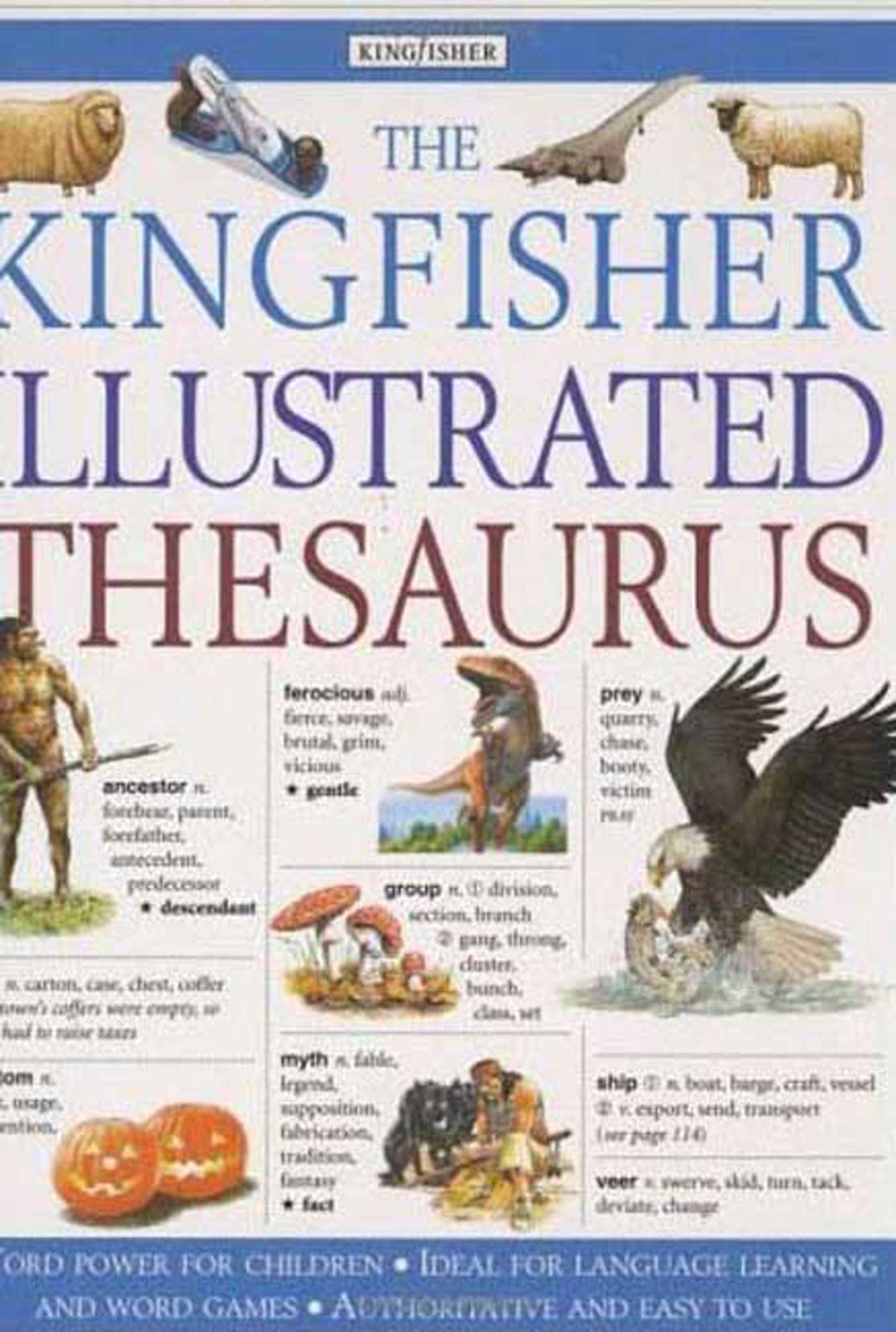 The Kingfisher Illustrated Thesaurus,Used