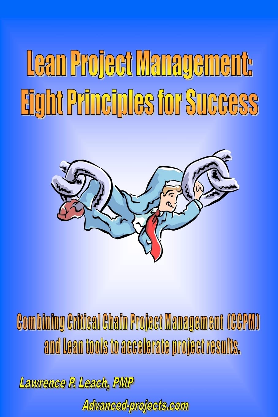 Lean Project Management: Eight Principles For Success,Used