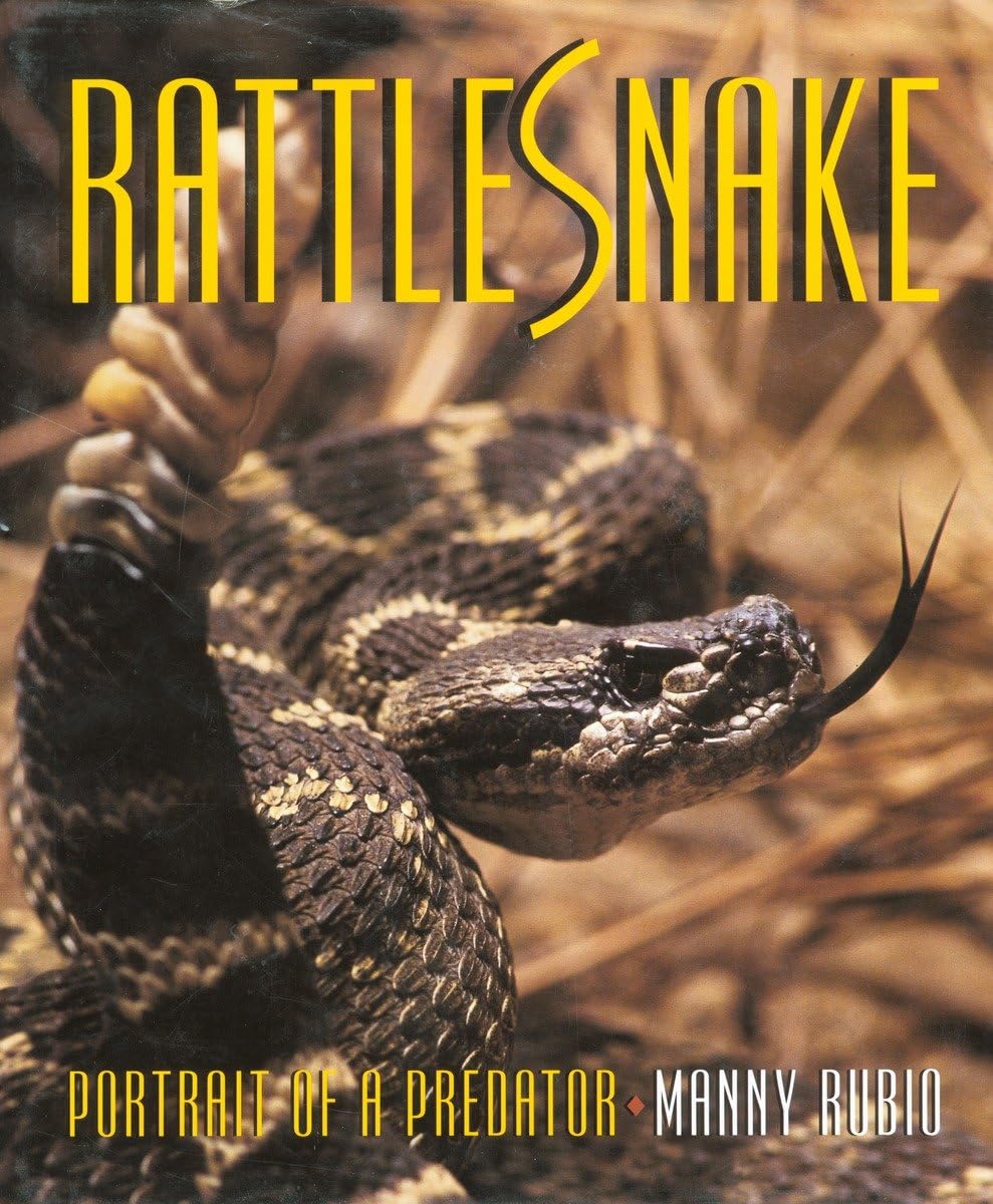 Rattlesnake  Portrait of a Predator,New