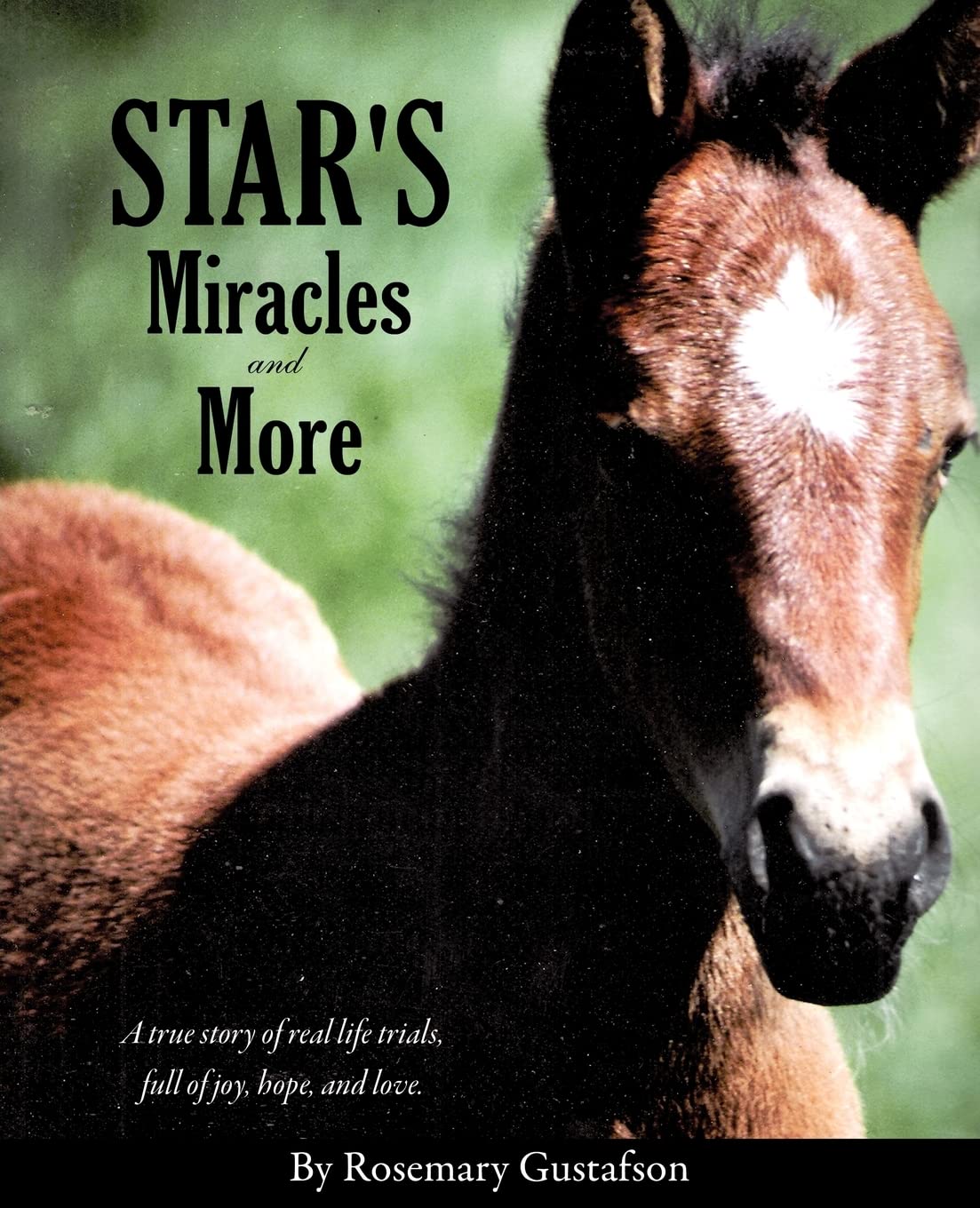 Star's Miracles and More,Used