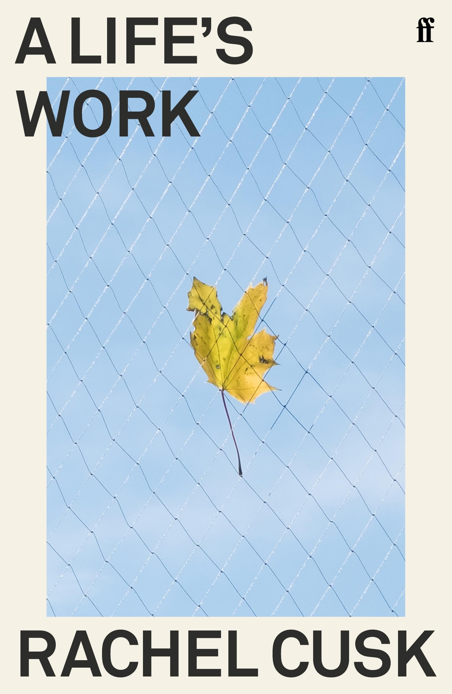 A Life'S Work,New