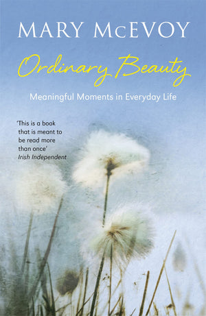 Ordinary Beauty: Meaningful Moments In Everyday Life
