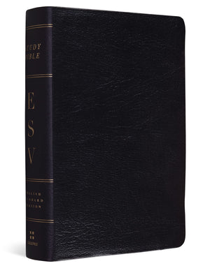 ESV Study Bible, Personal Size (Black),Used