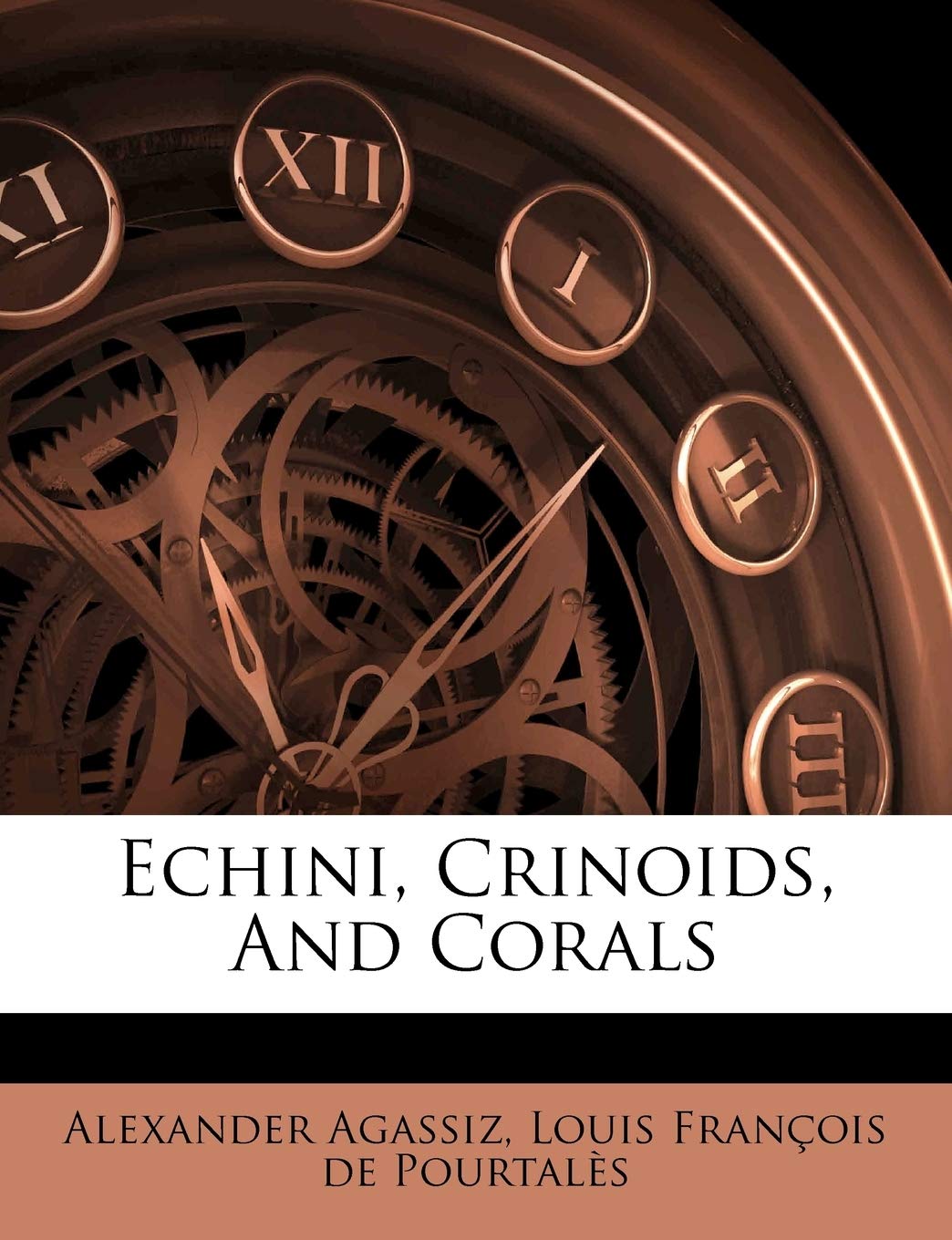 Echini, Crinoids, and Corals,Used