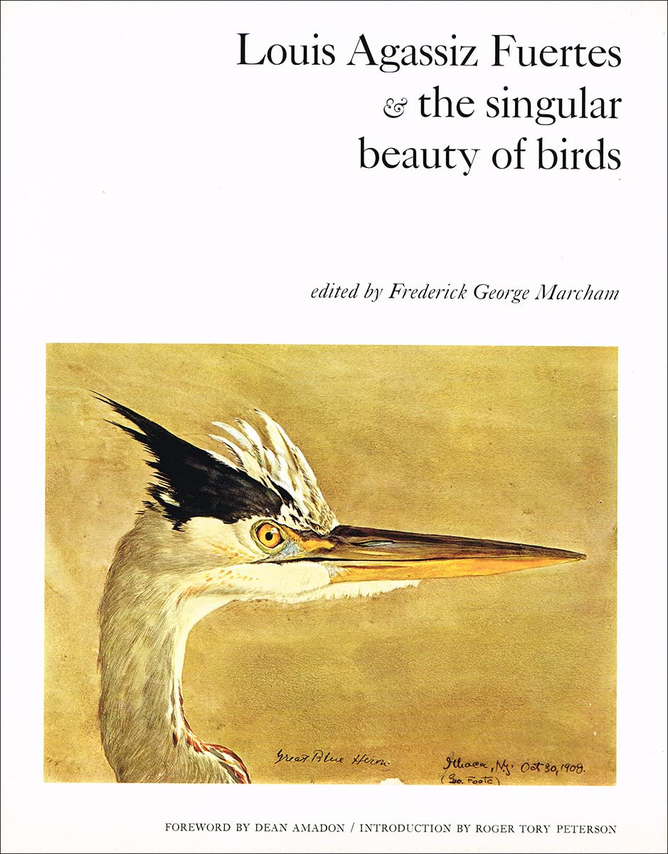 Louis Agassiz Fuertes & the singular beauty of birds: Paintings, drawings, letters,Used