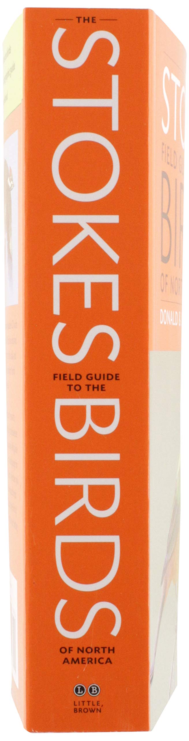 The Stokes Field Guide to the Birds of North America (Stokes Field Guides),New