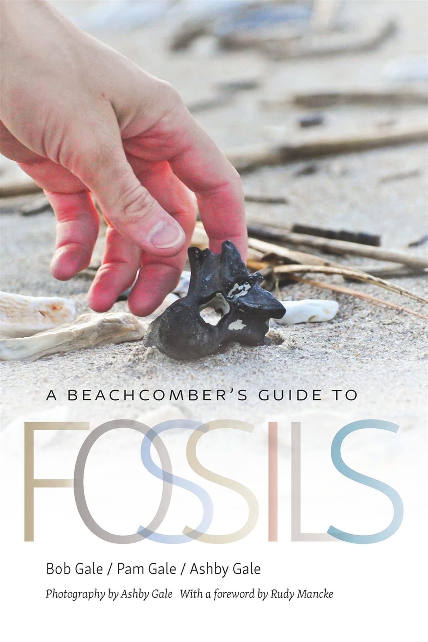 A Beachcomber'S Guide To Fossils (Wormsloe Foundation Nature Books),Used