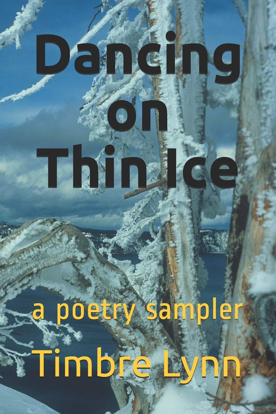 Dancing on Thin Ice: a book of poetry,Used