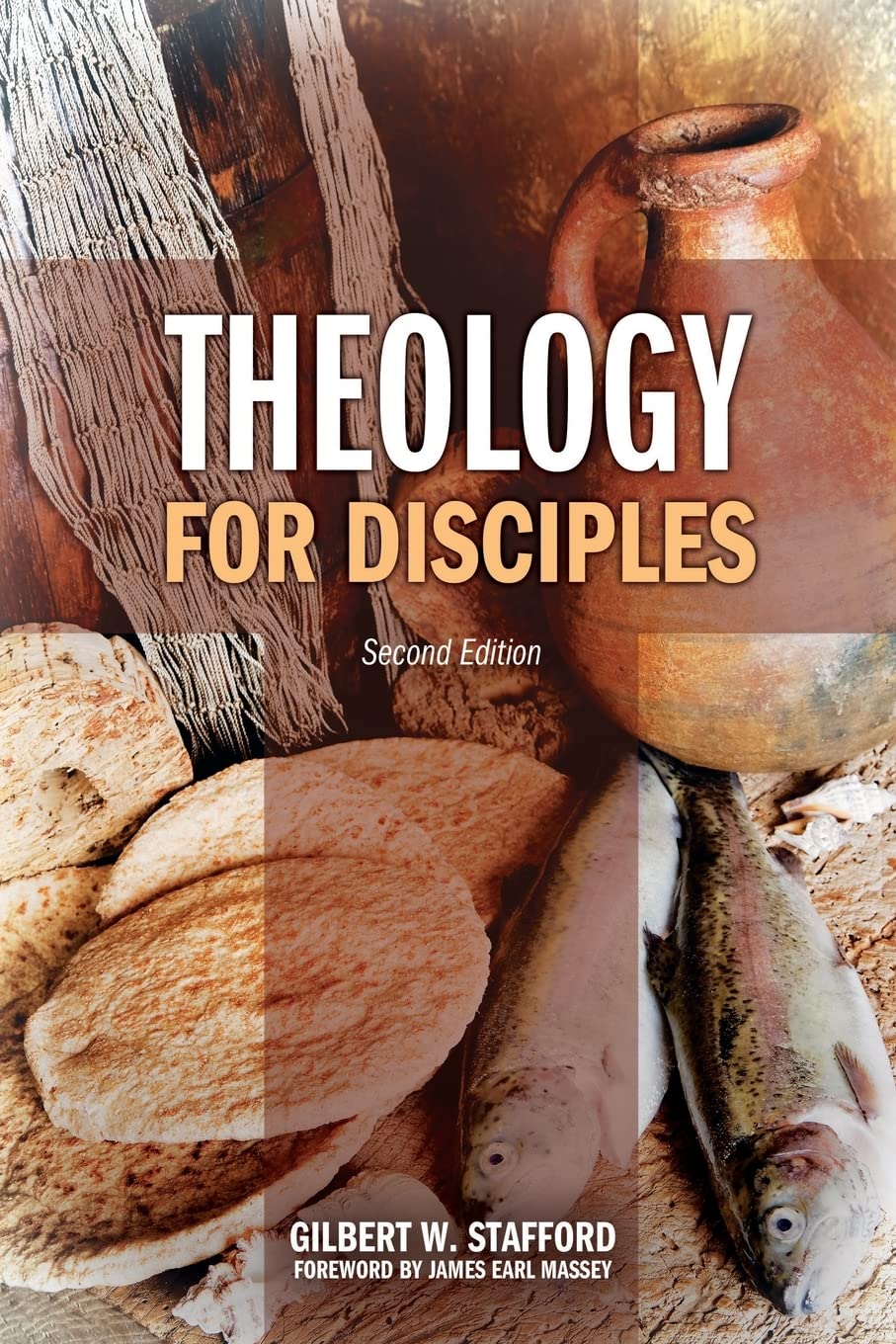Theology for Disciples,Used
