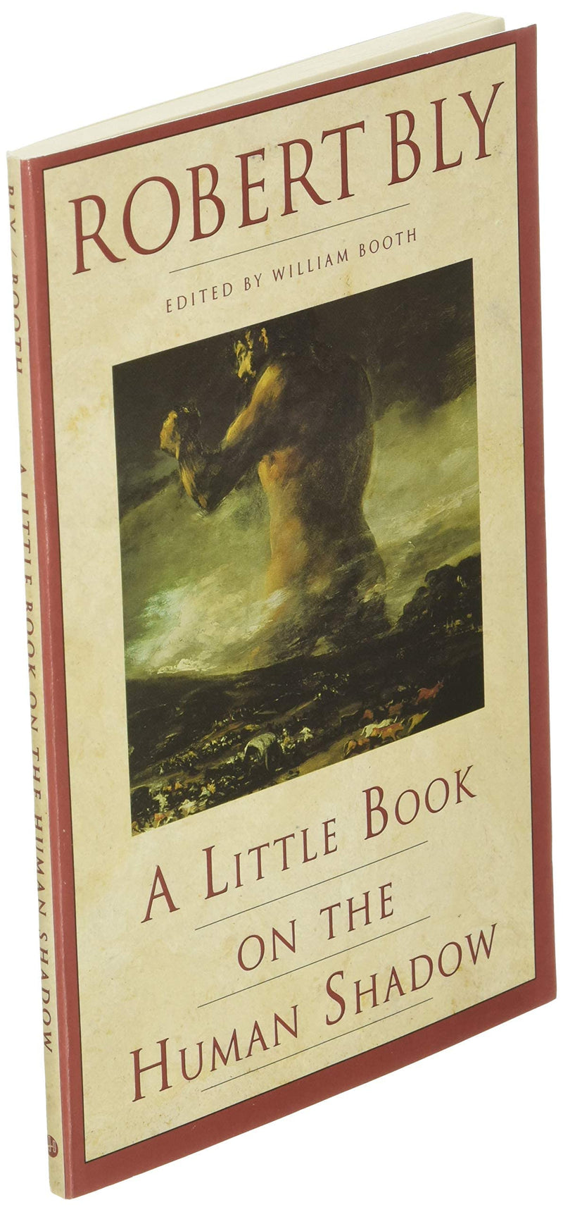 A Little Book On The Human Shadow: A Poetic Journey Into The Dark Side Of The Human Personality, Shadow Work, And The Importance,New
