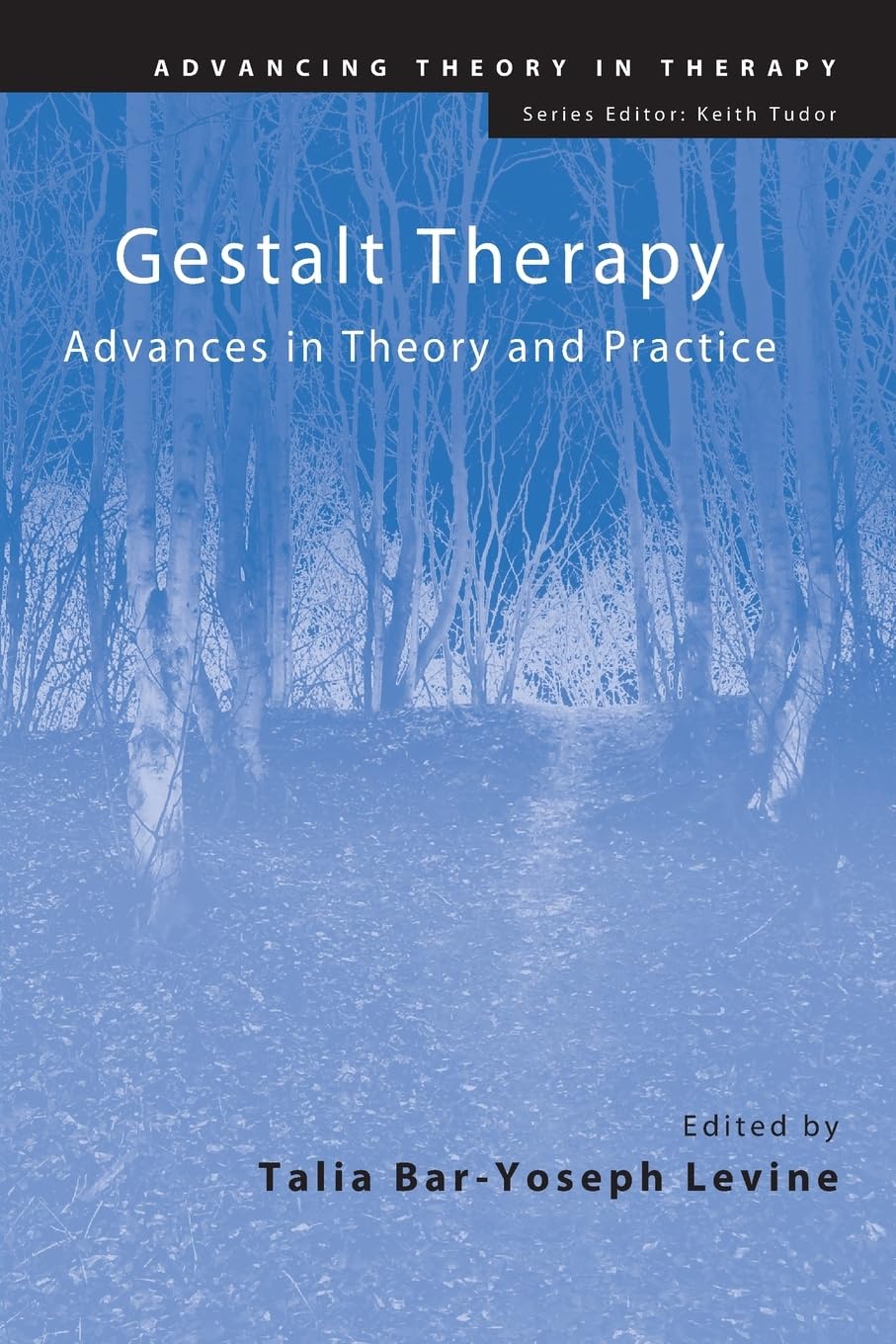 Gestalt Therapy (Advancing Theory in Therapy),Used