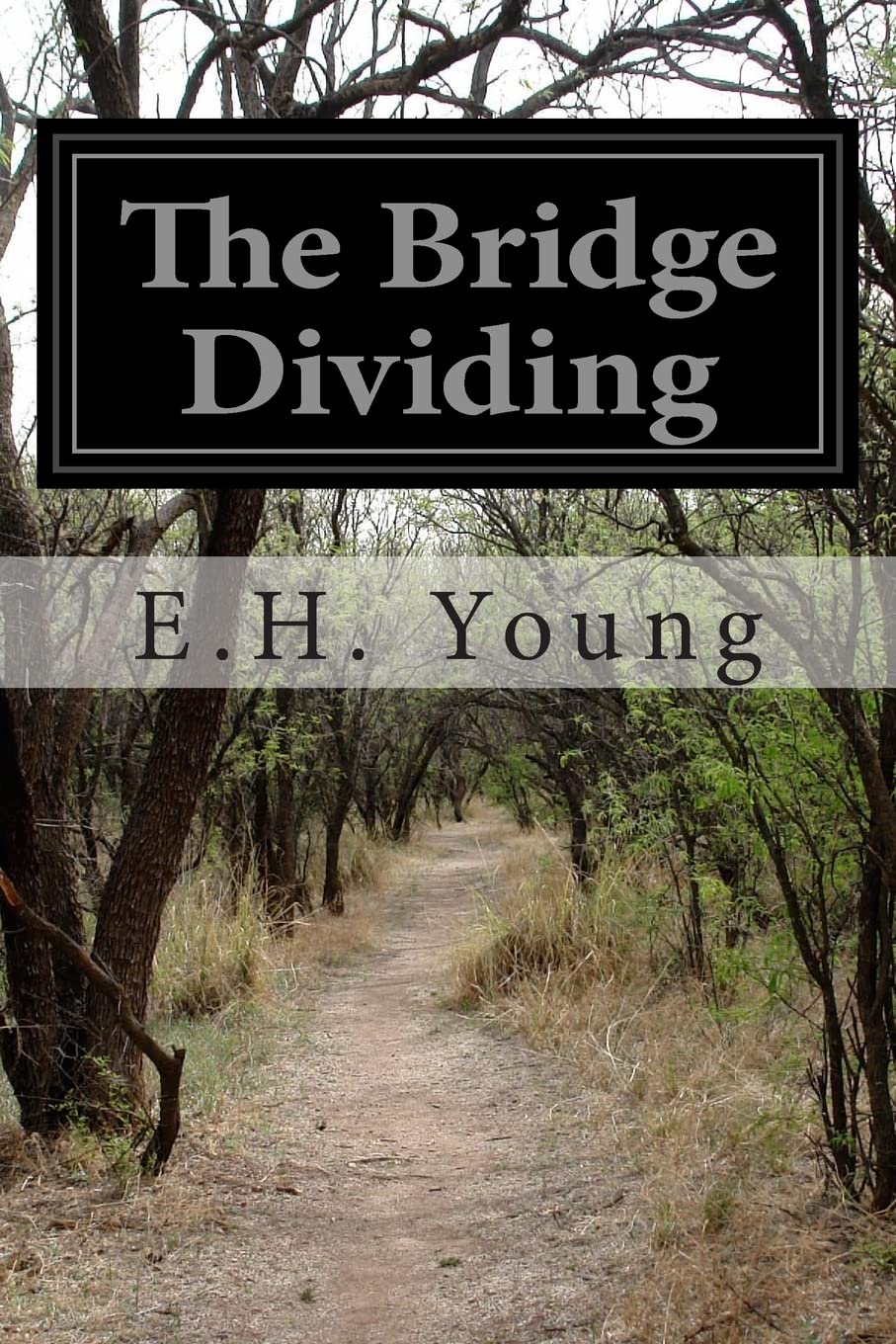 The Bridge Dividing,Used