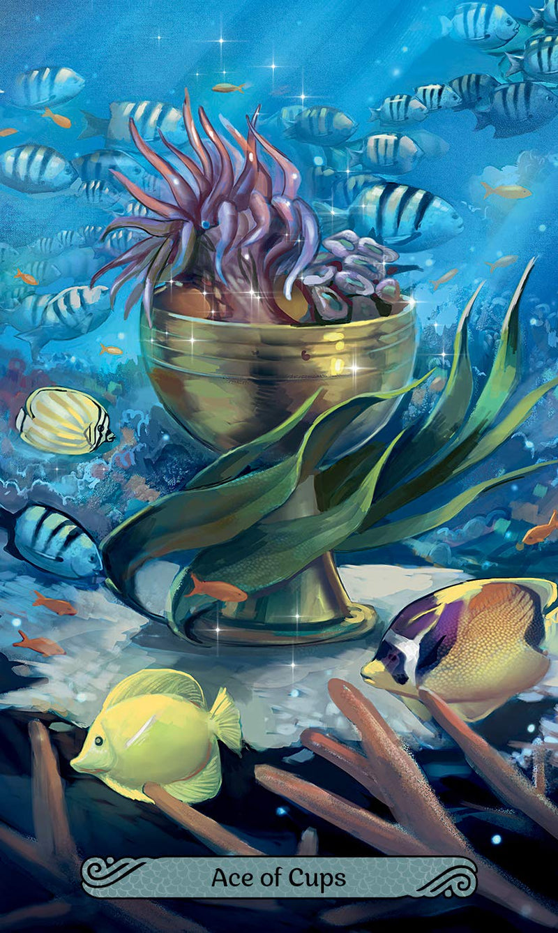 Mermaid Tarot,Used