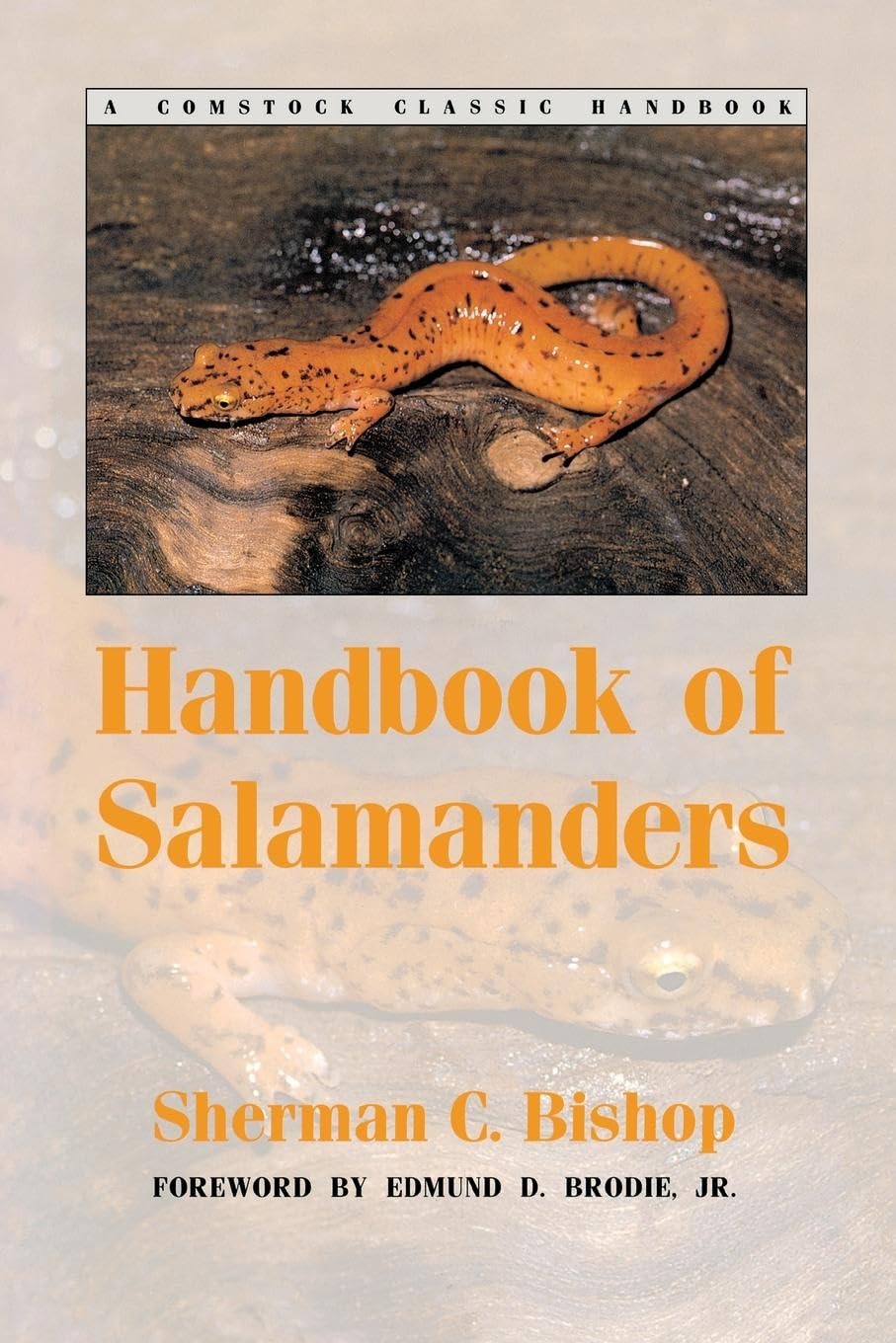 Handbook of Salamanders: The Salamanders of the United States, of Canada, and of Lower California (Comstock Classic Handbooks),Used