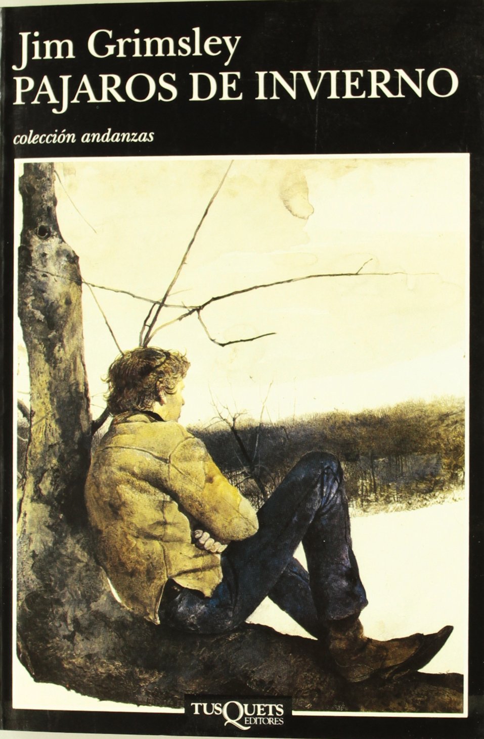 Pajaros De Invierno (Spanish Edition),Used