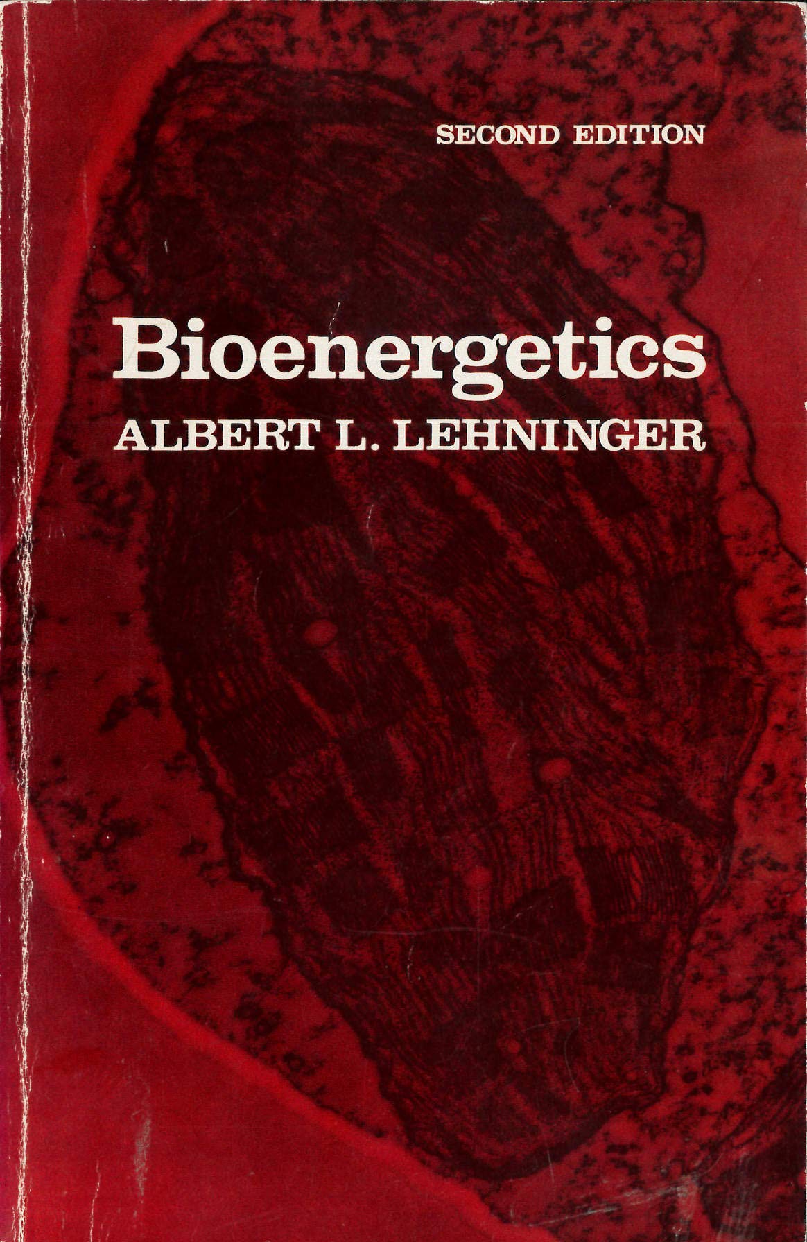 Bioenergetics: The Molecular Basis Of Biological Energy Transformations