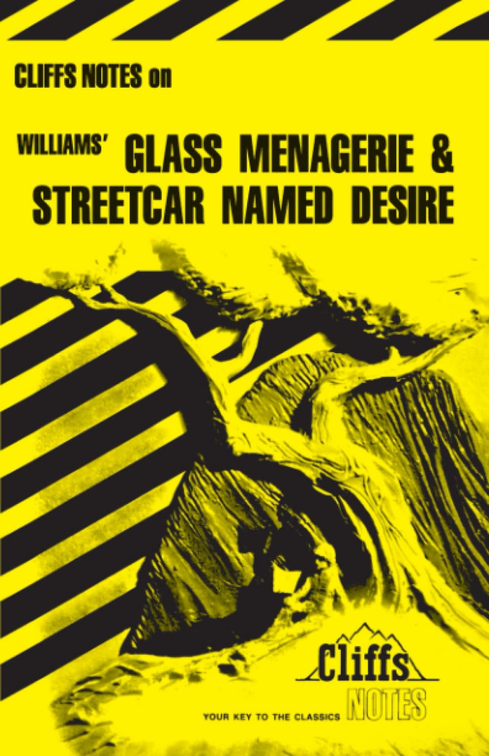 Williams' Glass Menagerie And Streetcar Named Desire (Cliffs Notes,Used