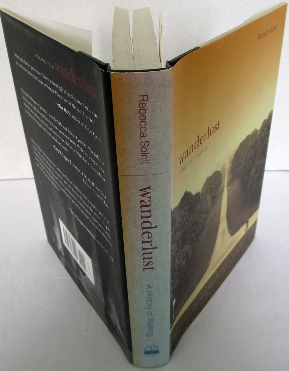 Wanderlust: A History of Walking,Used