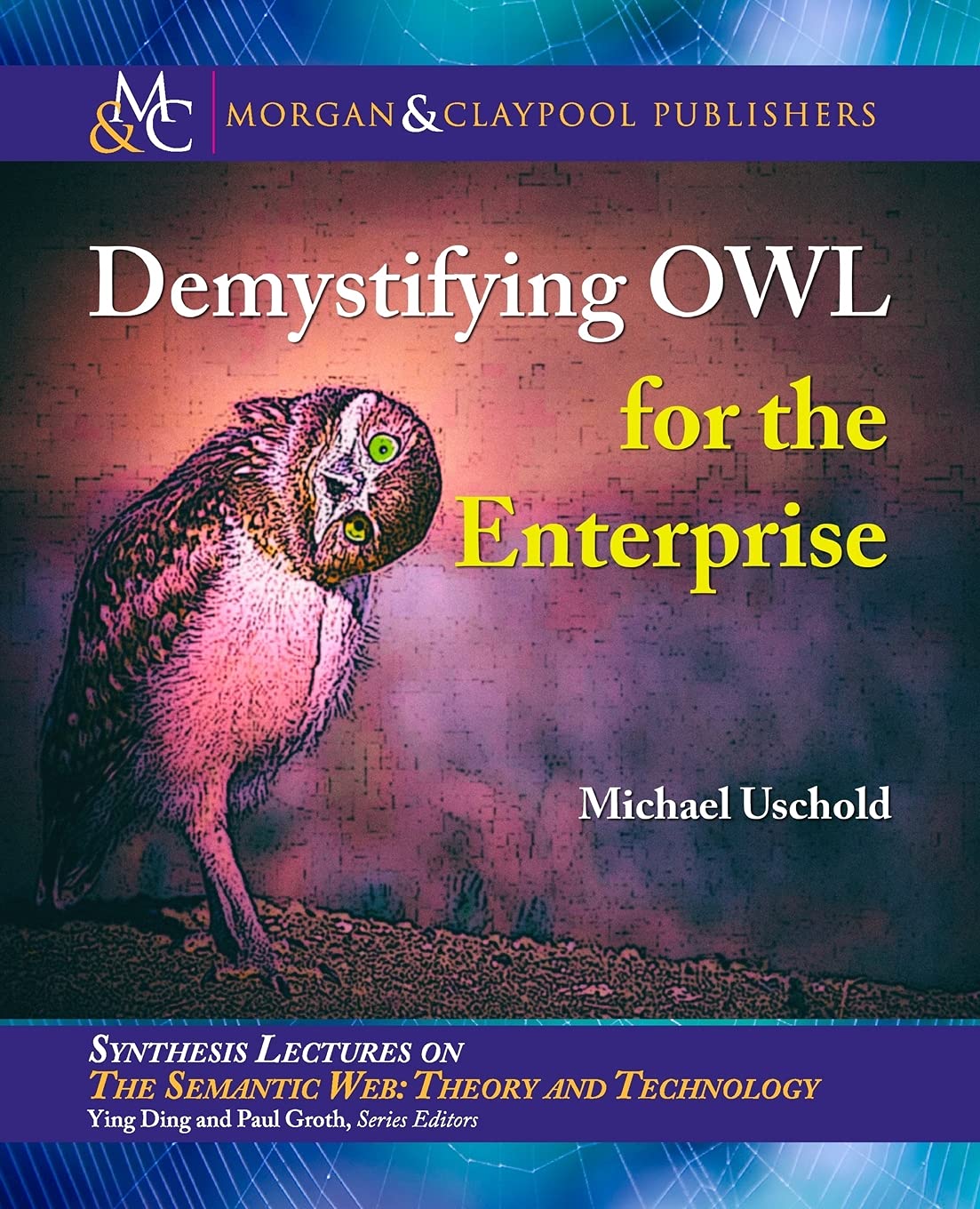 Demystifying Owl for the Enterprise (Synthesis Lectures on Semantic Web: Theory and Technology),Used
