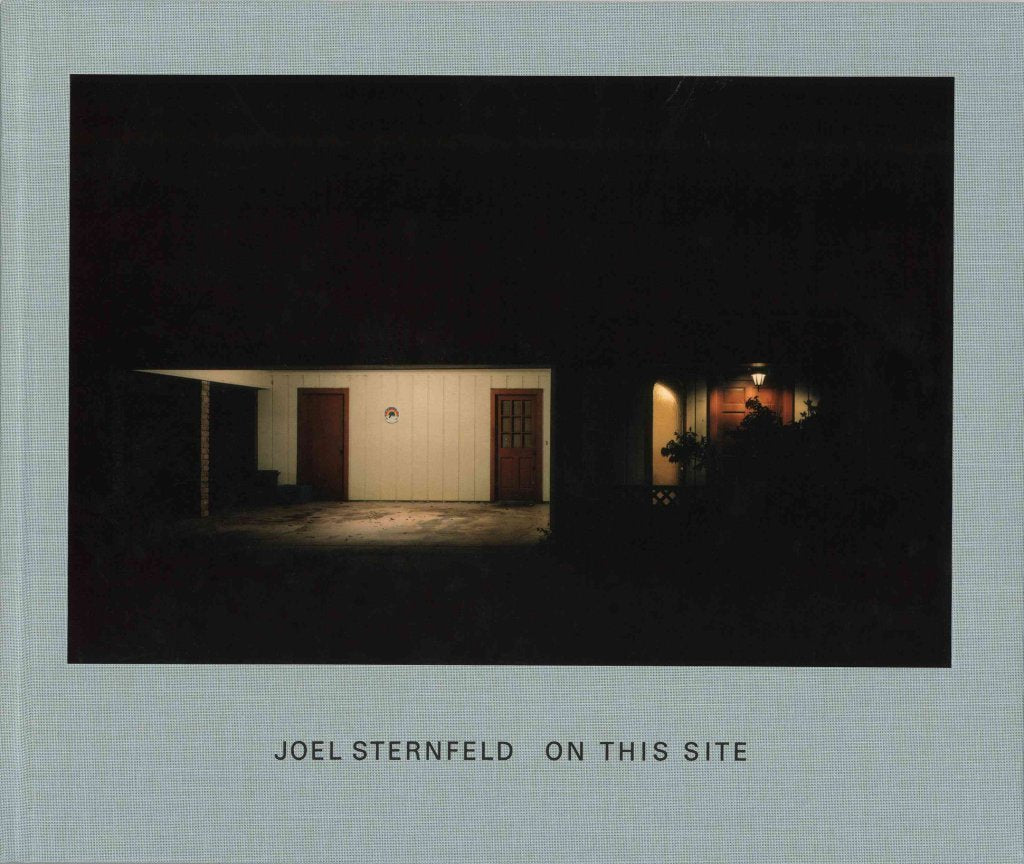 Joel Sternfeld: Walking the High Line,New