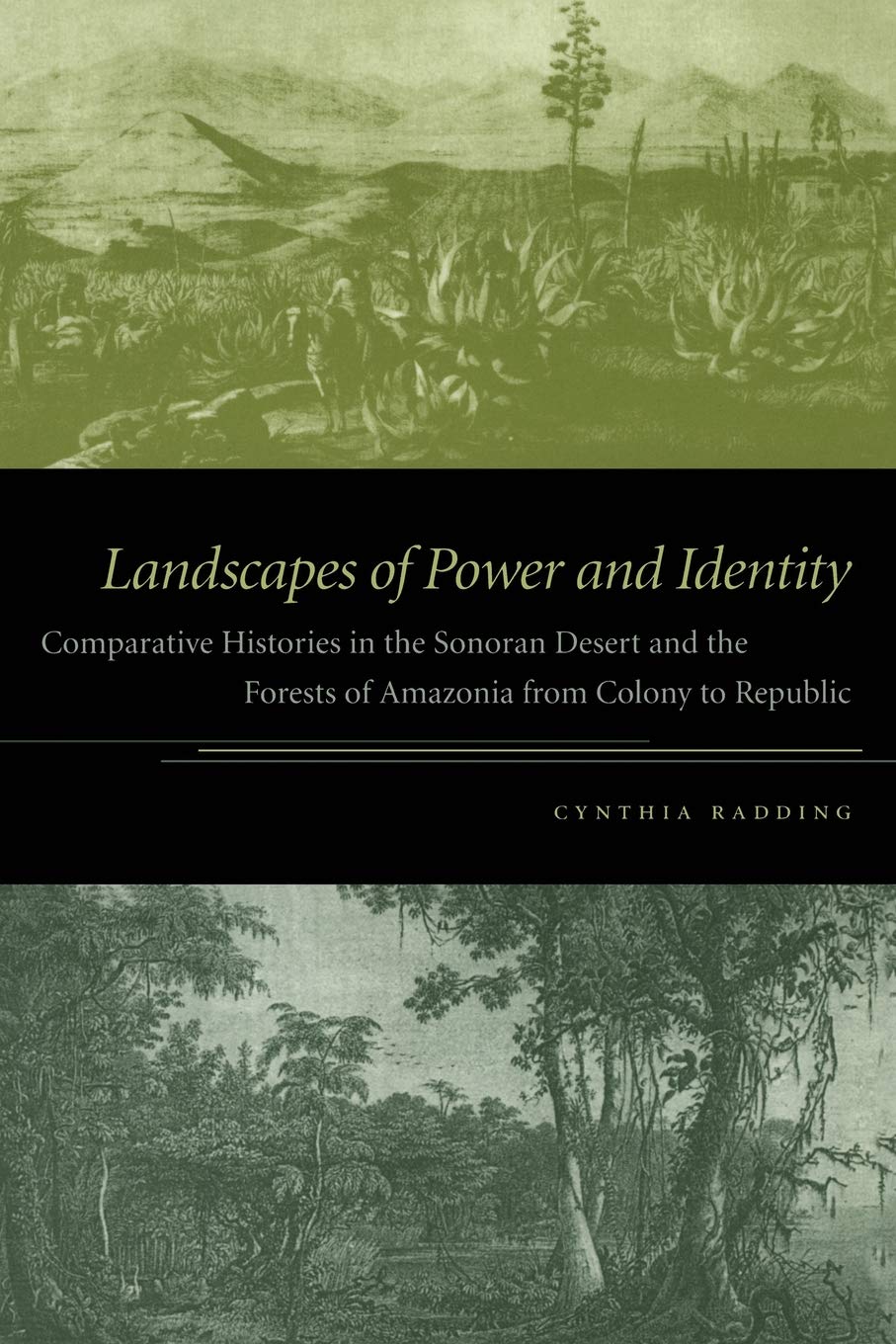 Landscapes Of Power And Identity: Comparative Histories In The Sonoran Desert And The Forests Of Amazonia From Colony To Republi,New