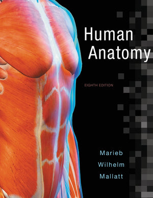 Human Anatomy (8th Edition),Used