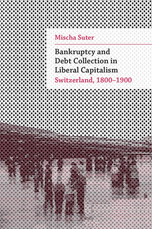 Bankruptcy and Debt Collection in Liberal Capitalism: Switzerland, 18001900 (Social History, Popular Culture, And Politics In G,Used