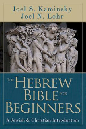 The Hebrew Bible for Beginners: A Jewish & Christian Introduction,Used