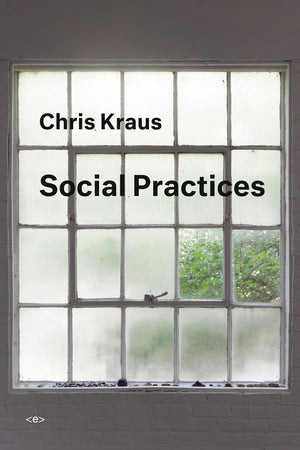 Social Practices (Semiotext(e) / Active Agents),Used