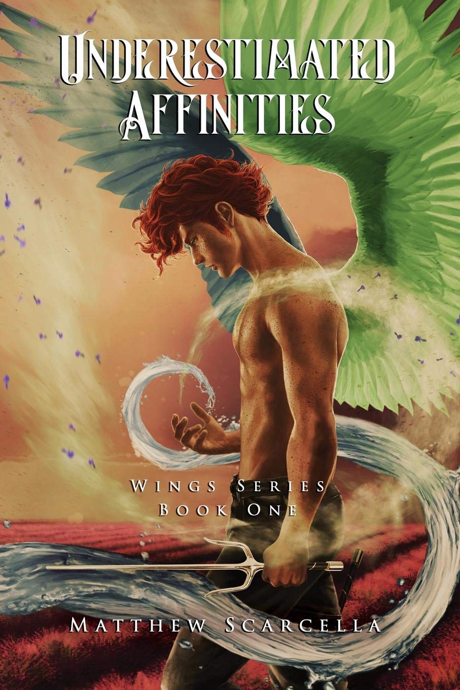 Underestimated Affinities: Cover Option 2 (Wings Series),Used